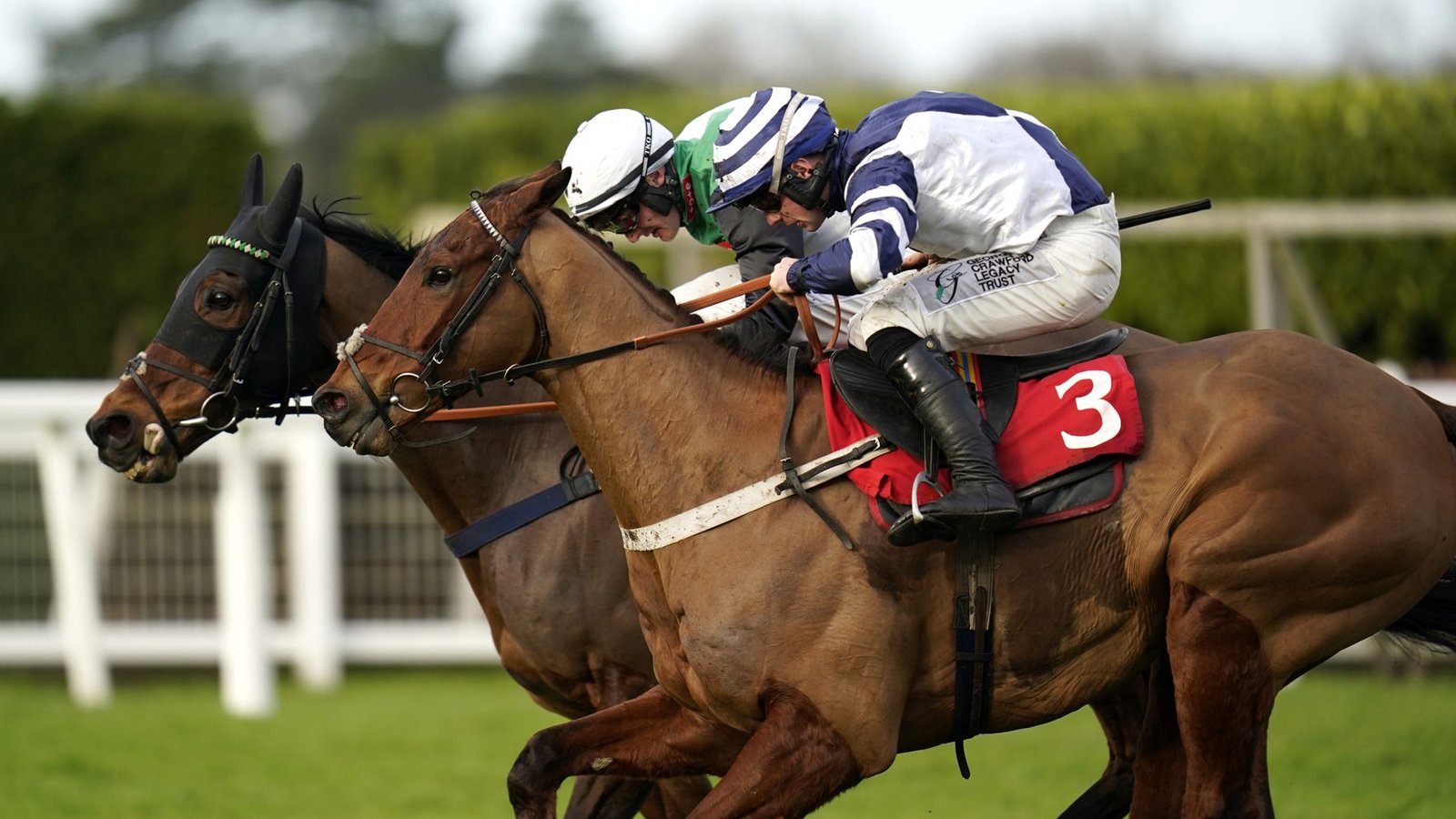 Vincenzo fancied to scoop Ascot Handicap prize on Saturday