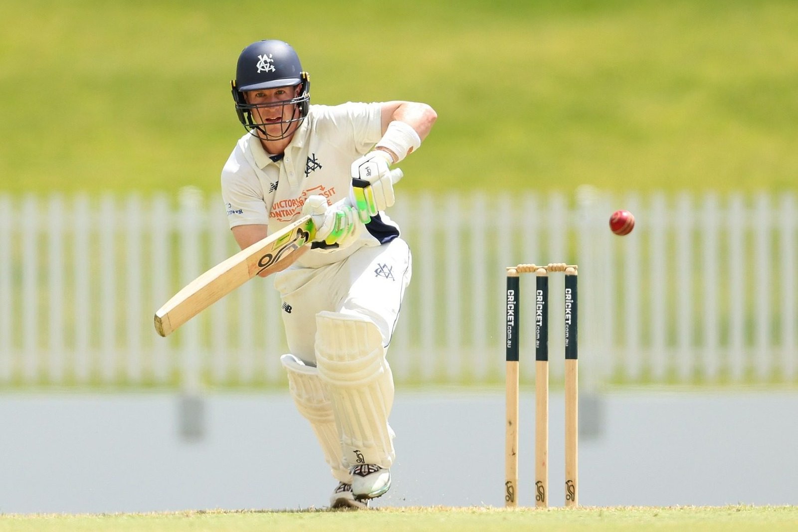 76-ball ton: BBL stalwart lights up Sheffield Shield despite first-class average of 25