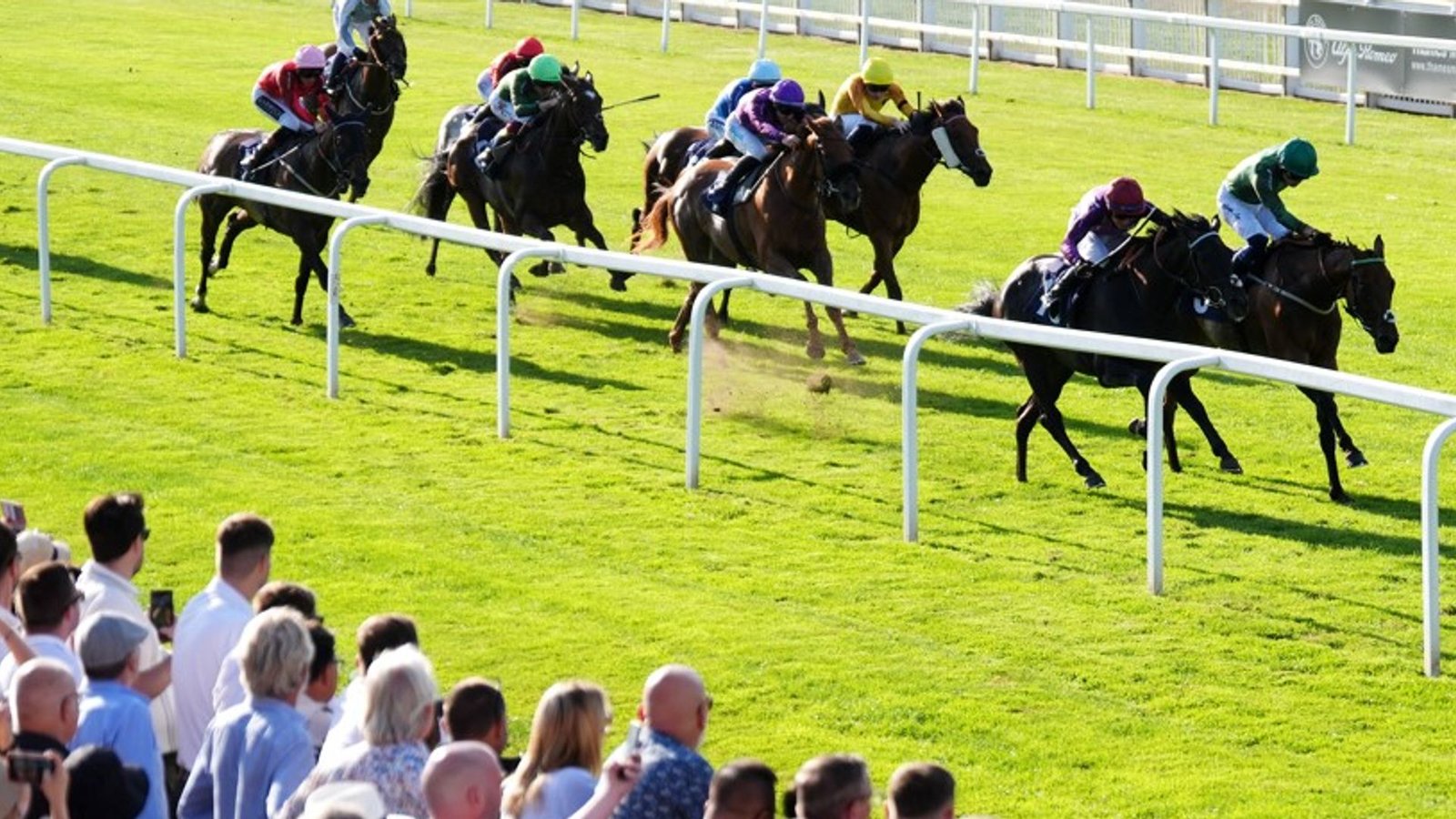 Amazonian Dream looks to go back-to-back at Windsor